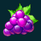 starlite fruits mega moolah slot grapes symbol