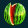 starlite fruits mega moolah slot watermelon symbol