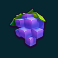 sumo sumo slot grapes symbol