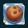 tropicool slot coconut symbol
