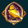 dead canary slot gold cage canary scatter symbol