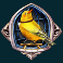 dead canary slot silver cage canary scatter symbol