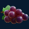 fire joker freeze slot grapes symbol