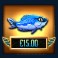 fish eye slot fish money symbol