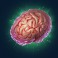 freaky friday fixed symbols slot brain symbol