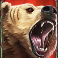 huntress wild vengeance slot bear symbol