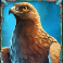 huntress wild vengeance slot eagle symbol