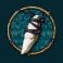 huntress wild vengeance slot tooth symbol