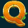 legacy of inca slot q symbol