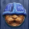 pine of plinko dream drop slot miney symbol