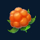 winterberries 2 slot cloudberry symbol