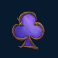 winterberries 2 slot club symbol