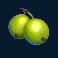 winterberries 2 slot gooseberry symbol