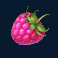 winterberries 2 slot raspberry symbol