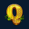 3 lucky leprechauns slot q symbol