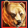 buffalo mania megaways slot bear symbol