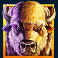 buffalo mania megaways slot buffalo symbol