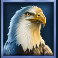 buffalo mania megaways slot eagle symbol