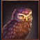 buffalo mania megaways slot owl symbol