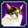 kitty glitter slot calico cat symbol