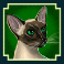 kitty glitter slot siamese cat symbol