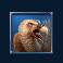 legion gold slot bird symbol