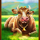 megaways jack and the magic beans slot cow symbol