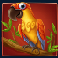 monkey bonanza slot parrot symbol