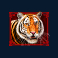 mystery of the orient slot tiger symbol