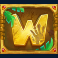 origins slot wild symbol