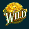 paddys pot mega moolah slot standard wild symbol
