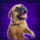 rocky slot butkus symbol