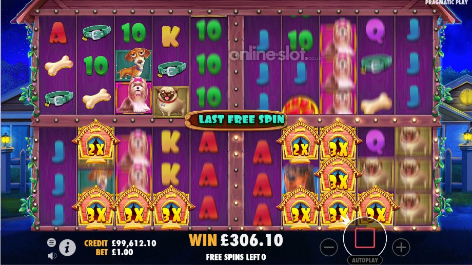 the dog house multihold slot free spins feature