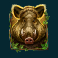 wild hike slot boar symbol