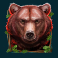 wild hike slot brown bear symbol