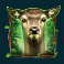 wild hike slot deer symbol