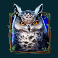 wild hike slot owl symbol