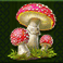 wild wild riches megaways slot mushroom symbol