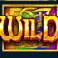 wild wild riches megaways slot wild symbol