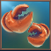 crabbin crazy 2 slot claws symbol