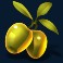 divine riches diana slot olive symbol
