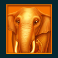 jungle jamboree slot elephant symbol