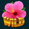 jungle jamboree slot pink flower wild symbol