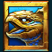 katmandu x slot turtle symbol
