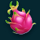 keep em cool slot dragon fruit symbol