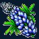texas tea slot bluebell symbol