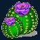 texas tea slot cactus symbol