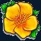 texas tea slot flower symbol