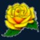 texas tea slot rose symbol