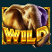 african elephant slot elephant wild symbol